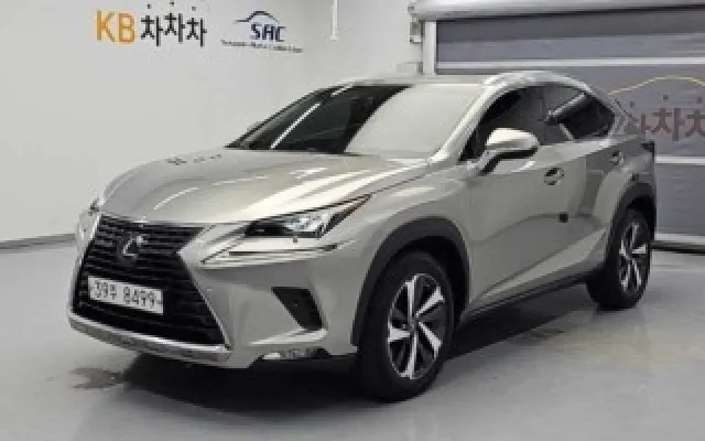 NX 300h 슈프림